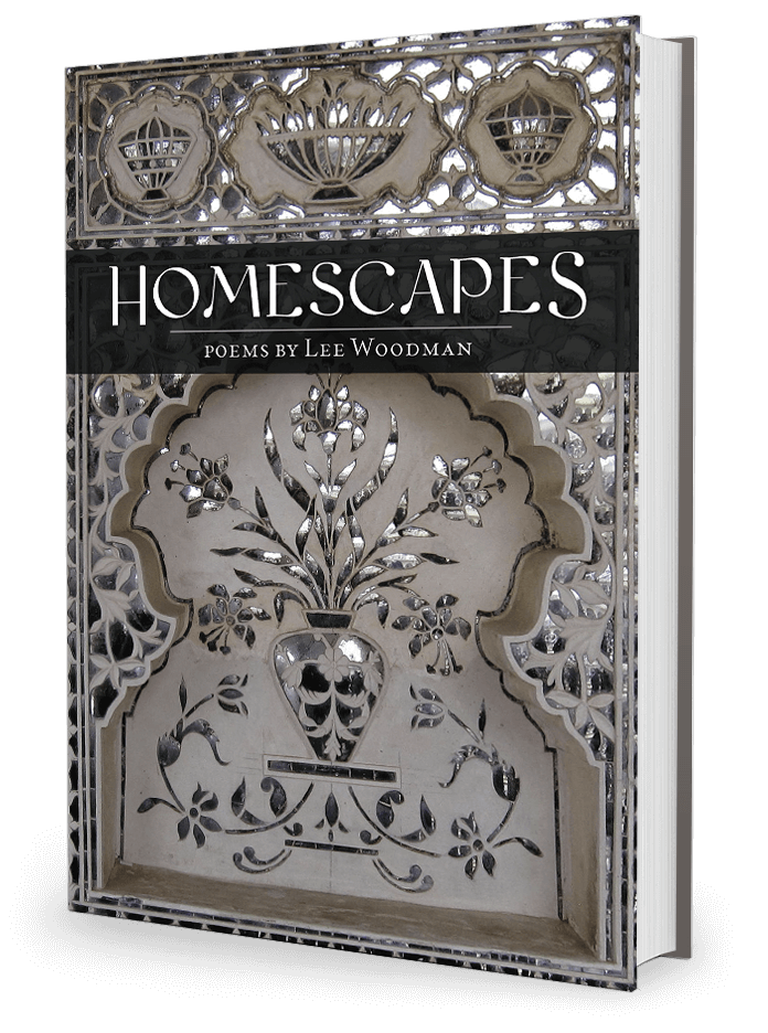 Homescapes by Lee Woodman 3d Bookshot