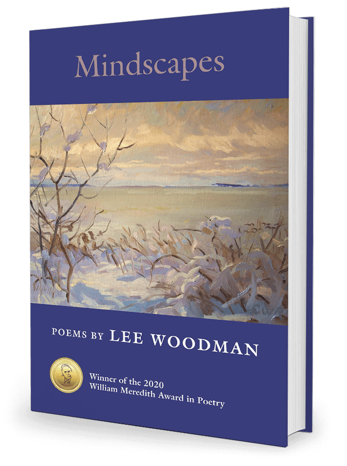 Mindscapes by Lee Woodman 3d Bookshot